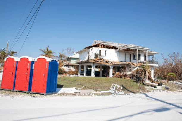 Best Emergency Tree Removal  in Silver Creek, NY